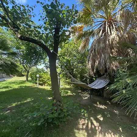 Casa Aloe Nel Cuore Della Sicilia Homestay