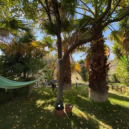 Casa Aloe Nel Cuore Della Sicilia Homestay *
